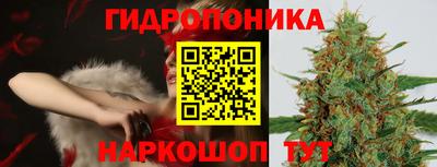 стафф Краснодар
