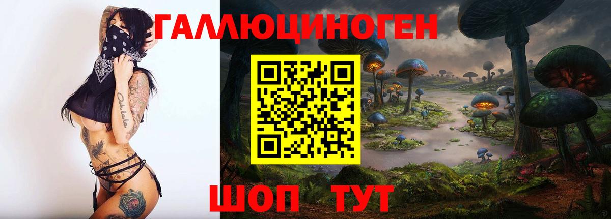 Галлюциногенные грибы Cubensis Карпинск