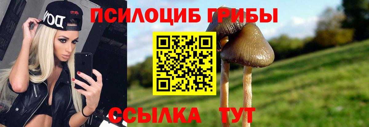 Карпинск  Псилоцибиновые грибы MAGIC MUSHROOMS  Вход с VPN 